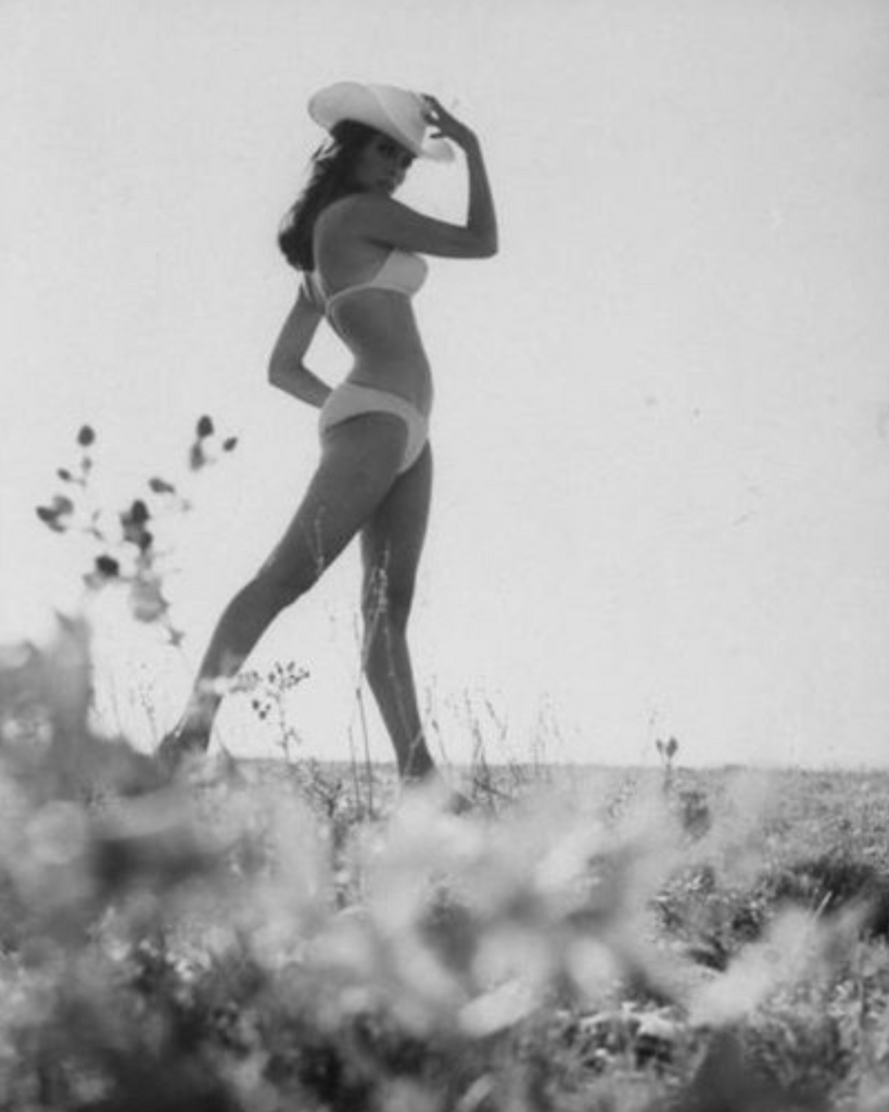 Raquel Welch