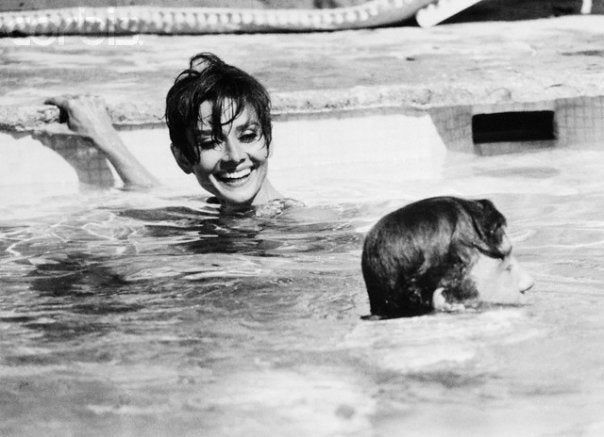 Audrey Hepburn